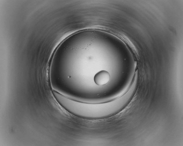 X0000112071292200908111425