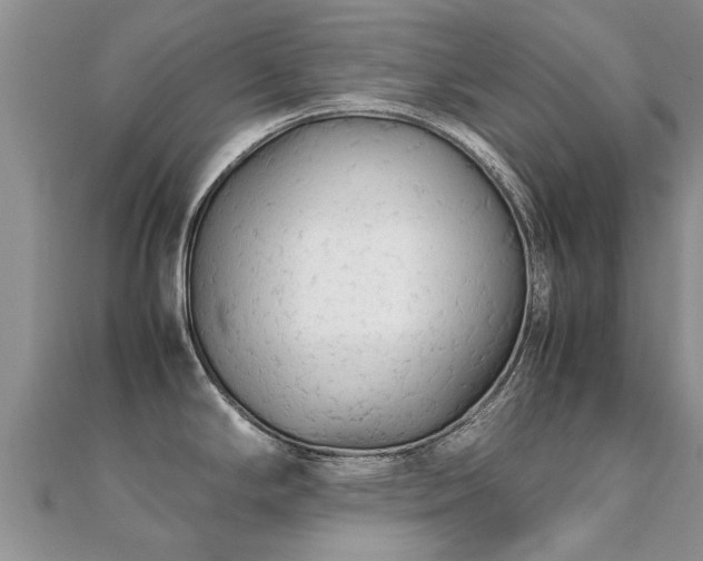 X0000112071294200908111425