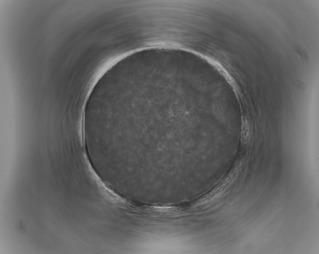 X0000112071295200908111425