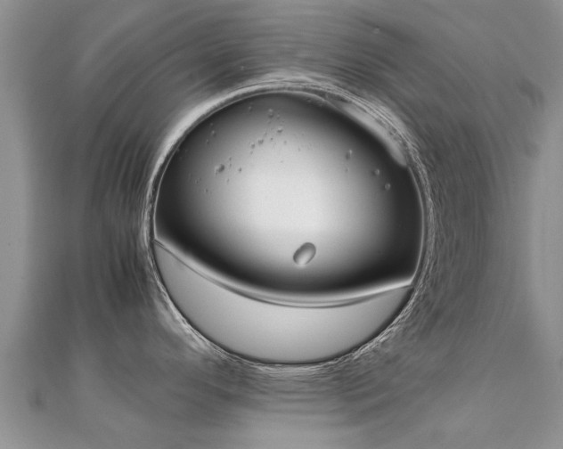 X0000112071296200908111425