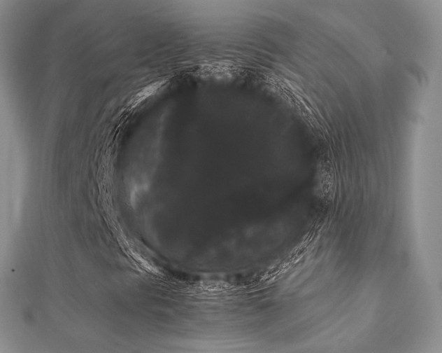 X0000112071297200908111424