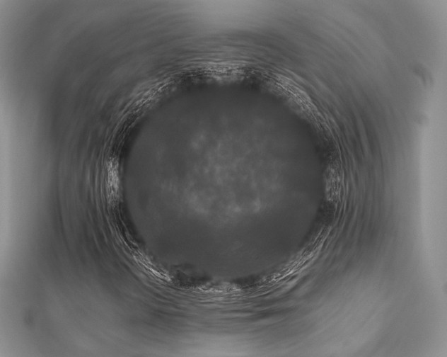 X0000112071298200908111424