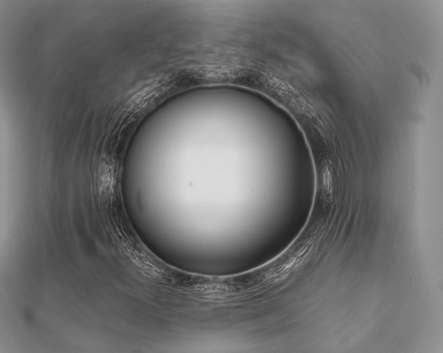 X0000112071300200908111424