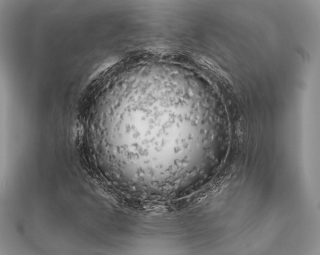X0000112071302200908111424