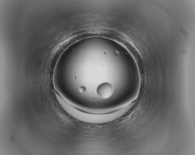 X0000112071304200908111424