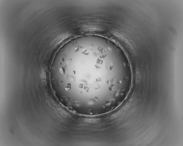 X0000112071305200908111424