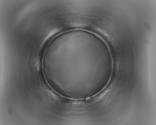 X0000112071306200908111424