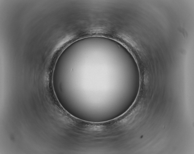 X0000112071309200908111424