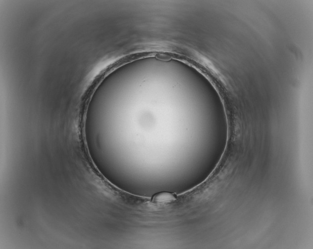 X0000112071312200908111424