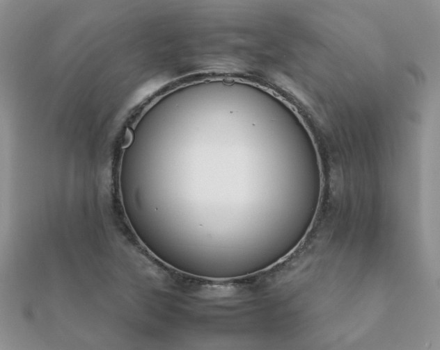 X0000112071315200908111424