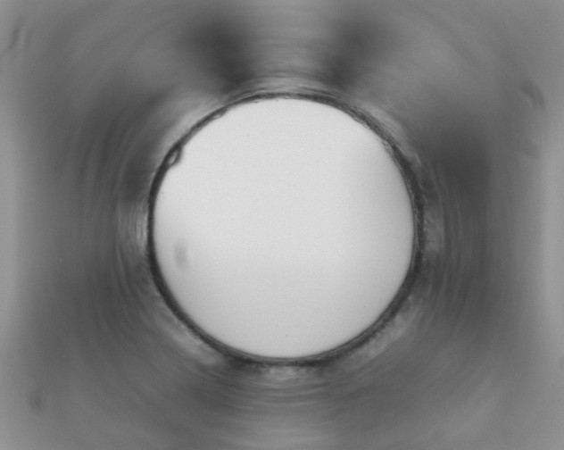 X0000112071322200908111424