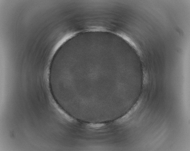 X0000112071325200908111424