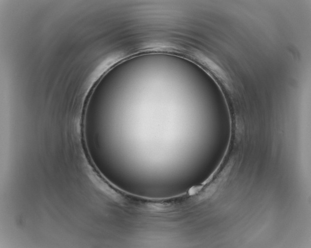 X0000112071330200908111424