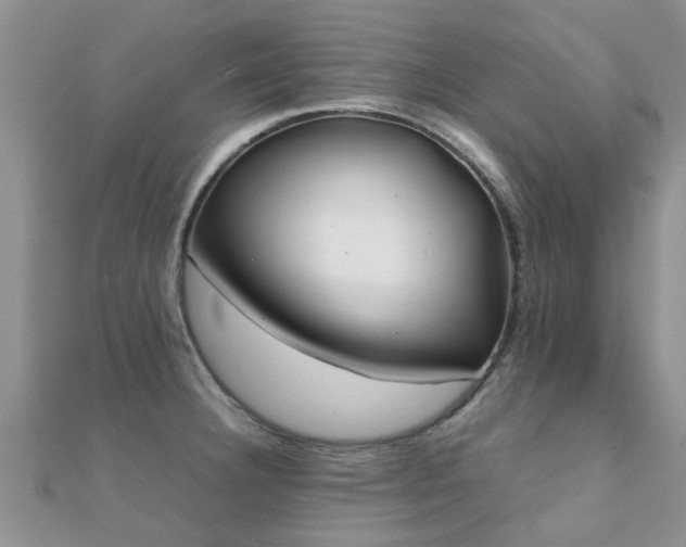 X0000112071332200908111424