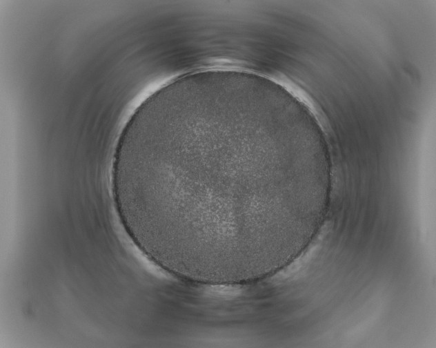 X0000112071333200908111425