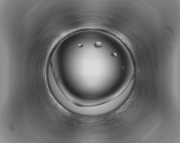 X0000112071334200908111425