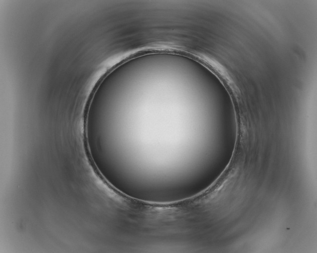 X0000112071335200908111425