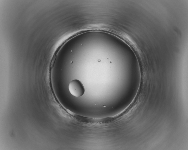 X0000112071336200908111425