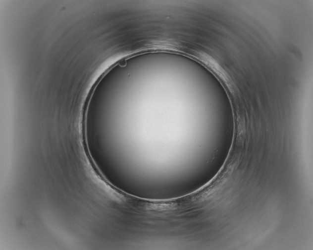 X0000112071339200908111425