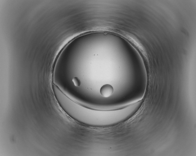 X0000112071340200908111425