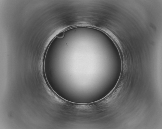 X0000112071341200908111425