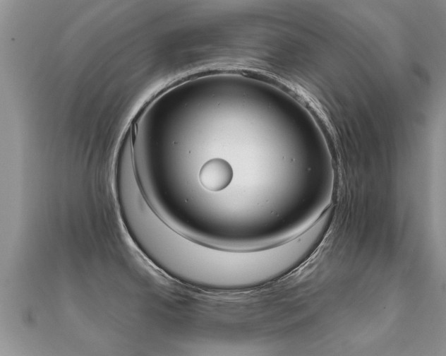 X0000112071342200908111425