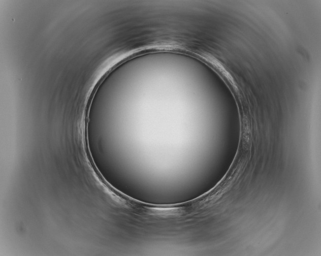 X0000112071343200908111425