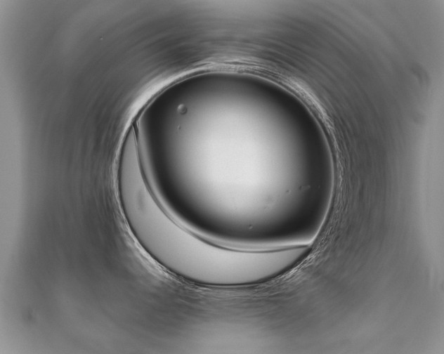 X0000112071344200908111425