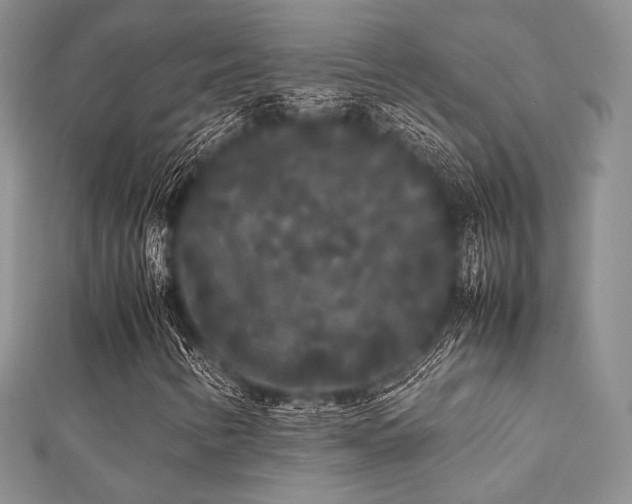 X0000112071346200908111424