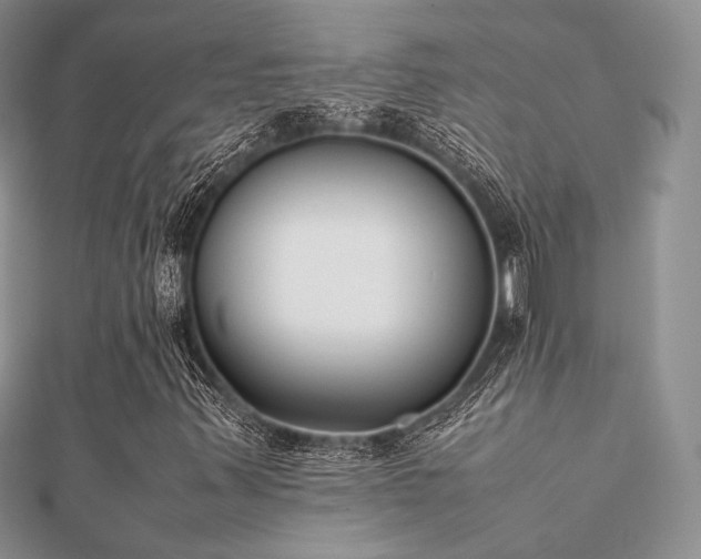 X0000112071347200908111424