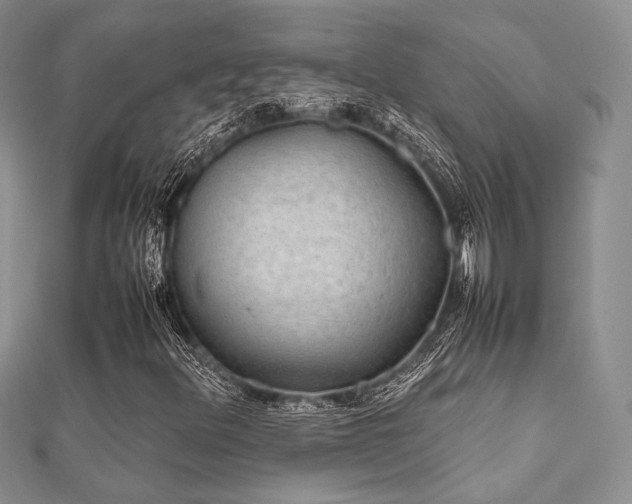 X0000112071348200908111424