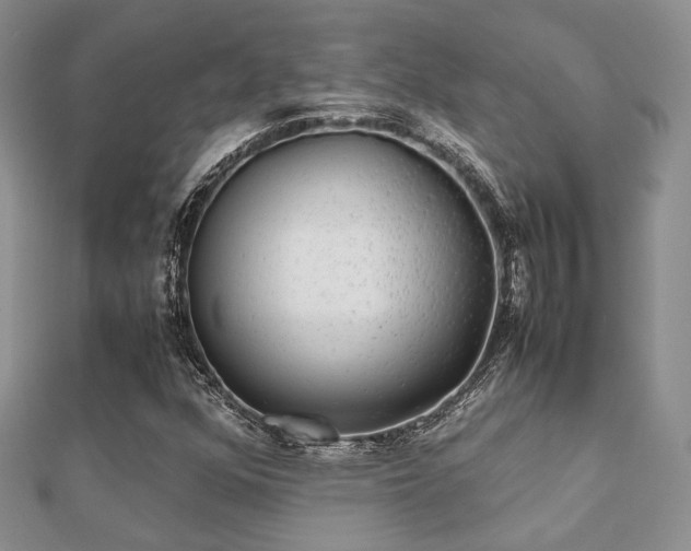 X0000112071352200908111424