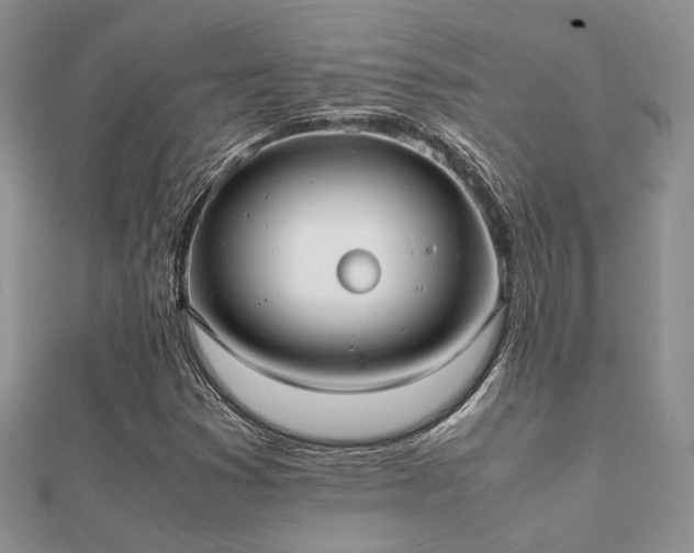 X0000112071353200908111424