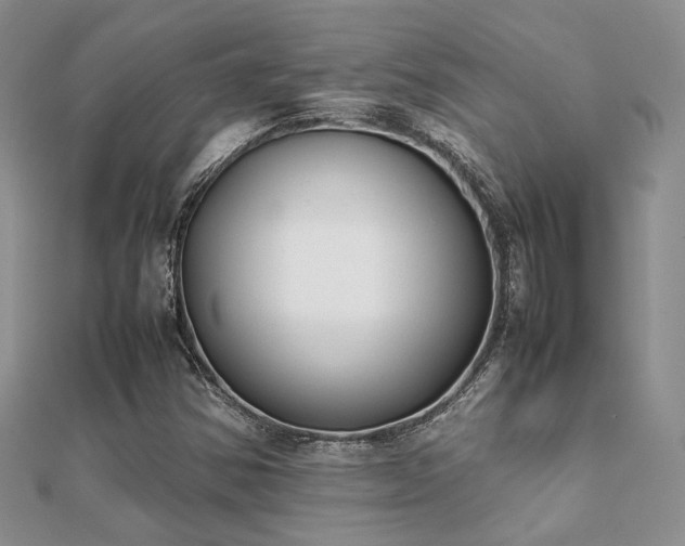 X0000112071354200908111424