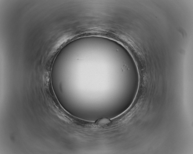 X0000112071355200908111424