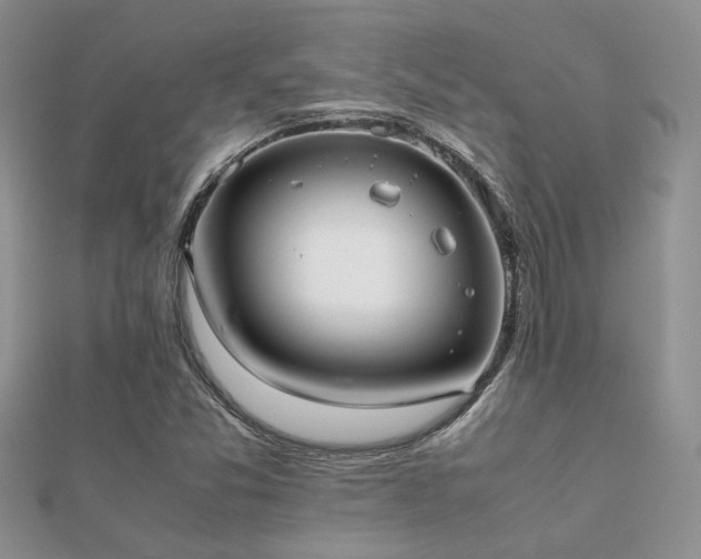 X0000112071357200908111424