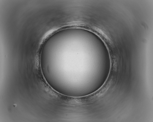 X0000112071358200908111424