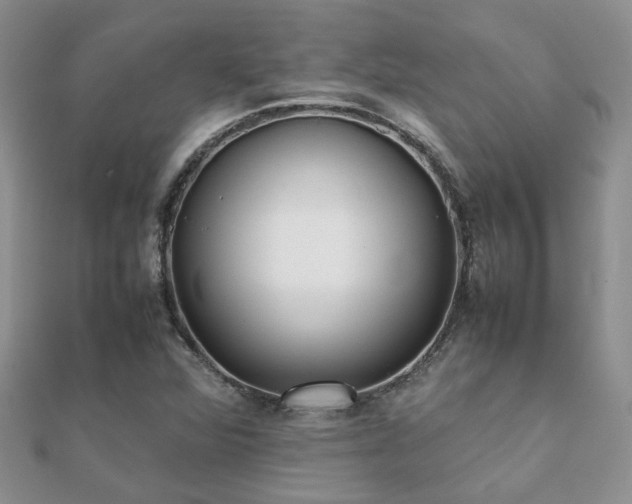 X0000112071360200908111424