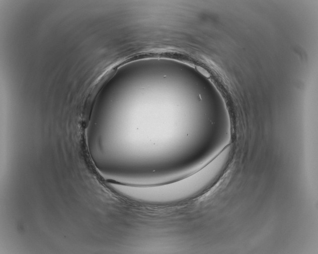 X0000112071361200908111424