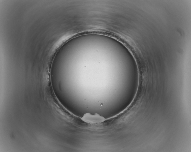 X0000112071363200908111424