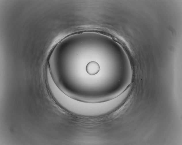 X0000112071365200908111424