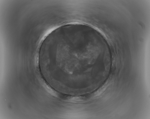 X0000112071367200908111424