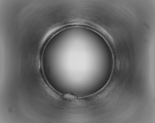 X0000112071368200908111424