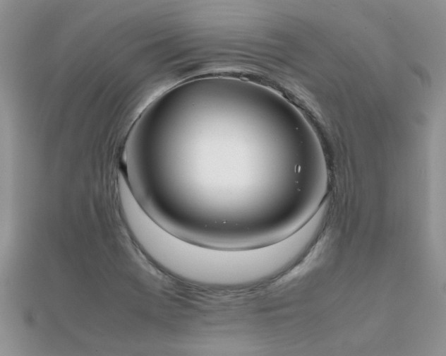 X0000112071369200908111424