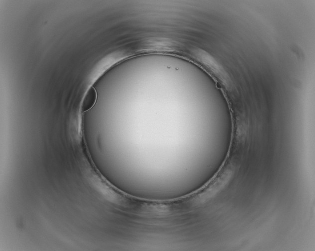 X0000112071370200908111424