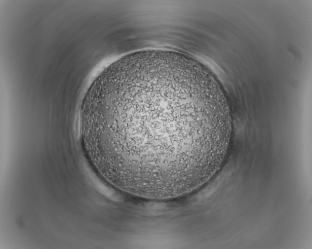X0000112071371200908111424