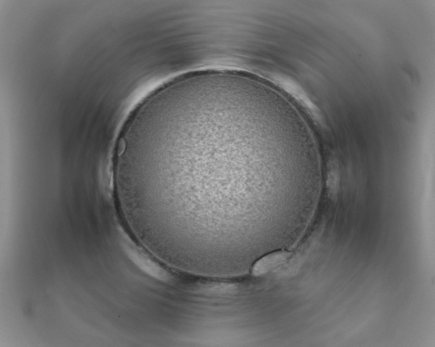 X0000112071372200908111424