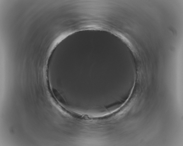 X0000112071373200908111424