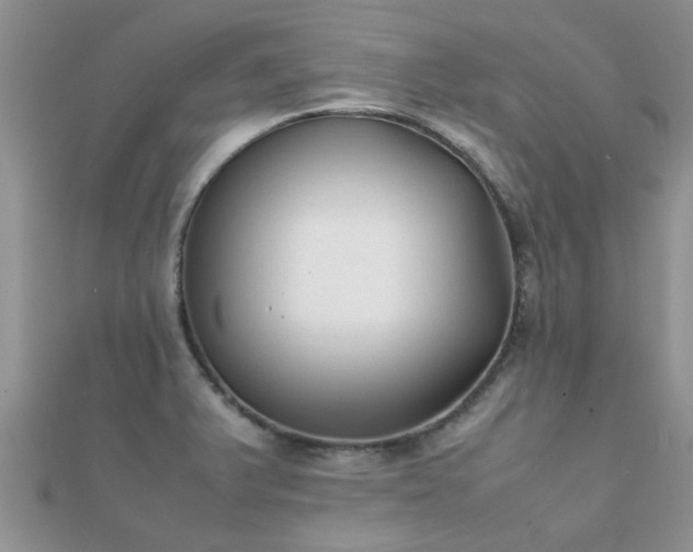 X0000112071375200908111424