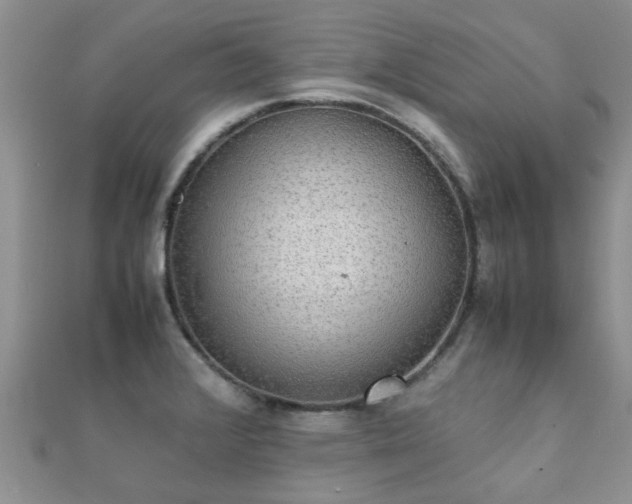 X0000112071376200908111424